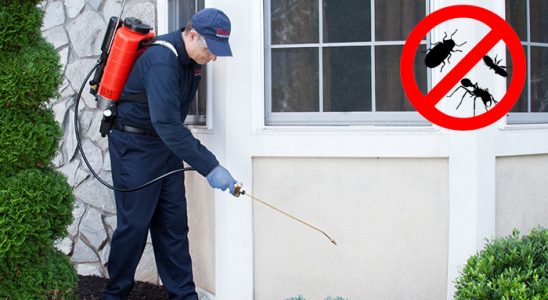 Mavişehir Kene İlaçlama böcek ilaçlama ve haşere kontrolü — ilaclama-tr.com